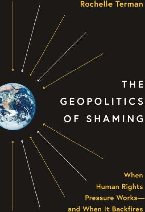 The Geopolitics of Shaming av Rochelle Terman