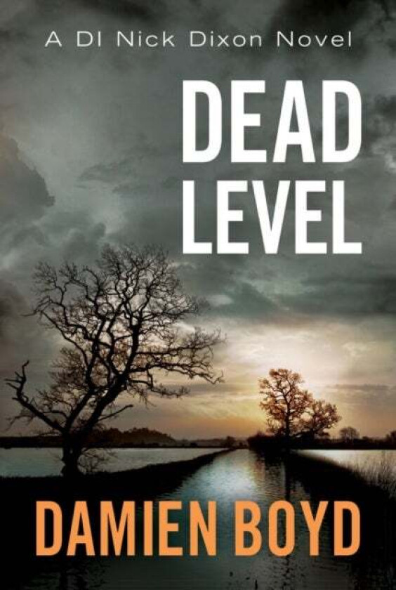 Dead Level av Damien Boyd