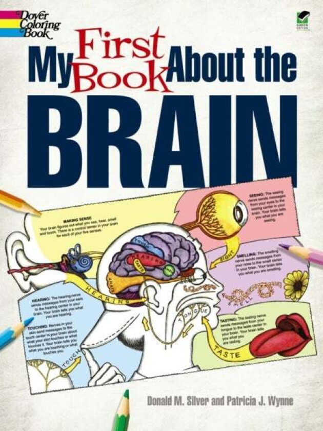 My First Book About the Brain av Patricia J. Wynne