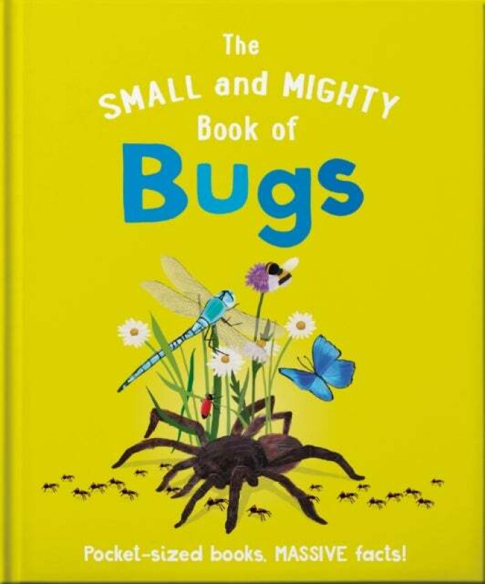 The Small and Mighty Book of Bugs av Catherine Brereton