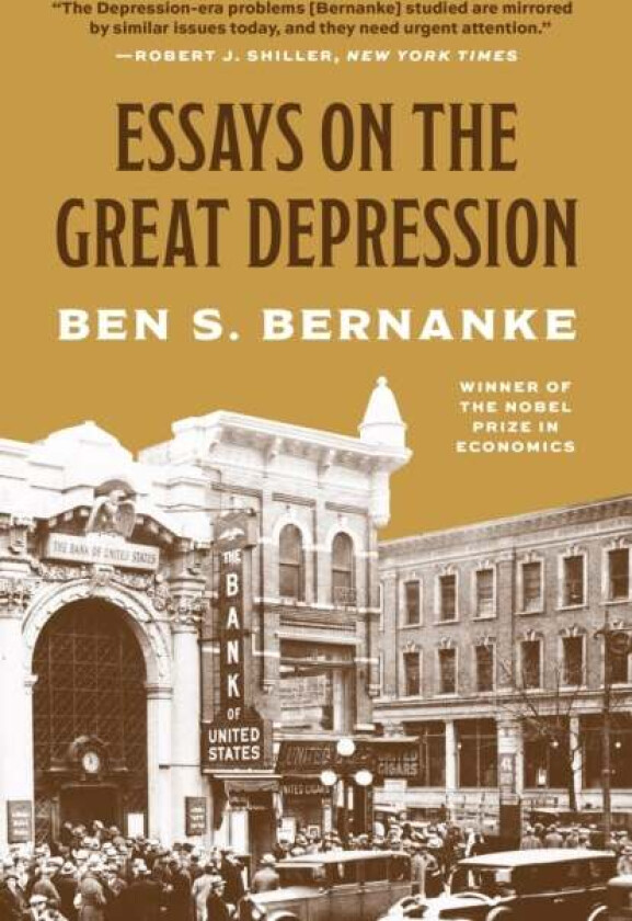 Essays on the Great Depression av Ben S. Bernanke