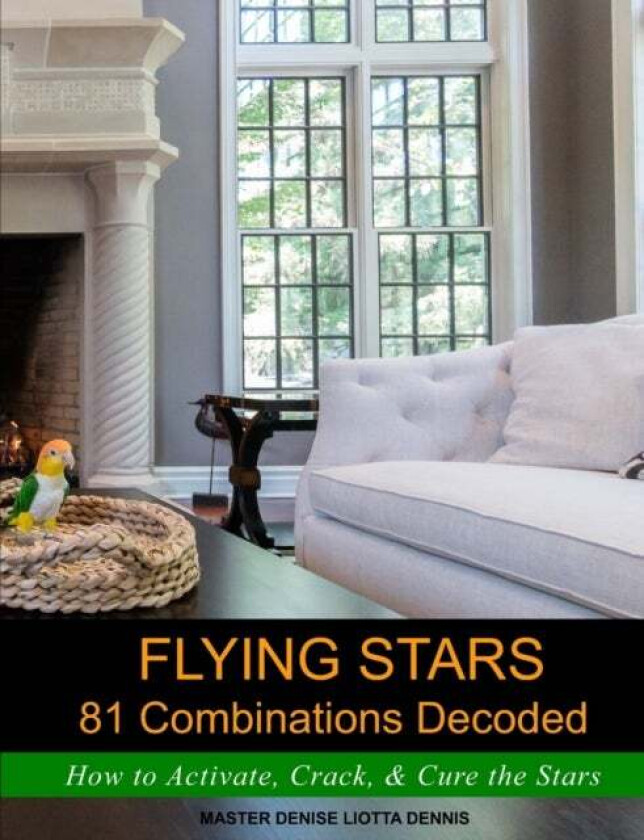 Flying Stars 81 Combinations Decoded av Denise Liotta Dennis