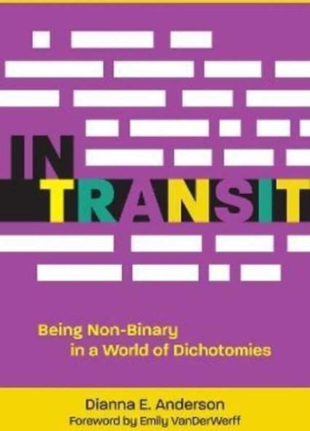 In Transit av Dianna E. Anderson