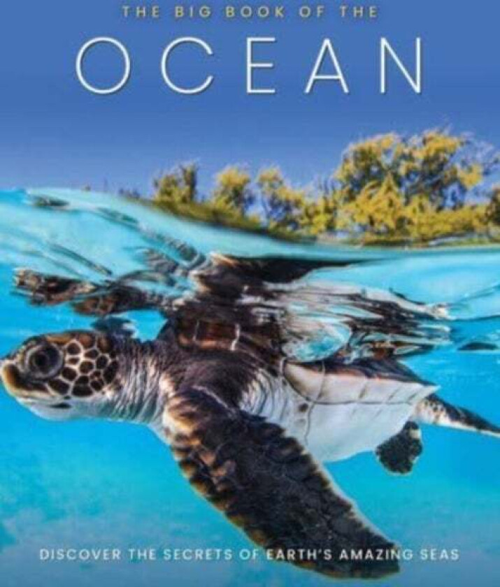 The Big Book of the Ocean av Sona Books