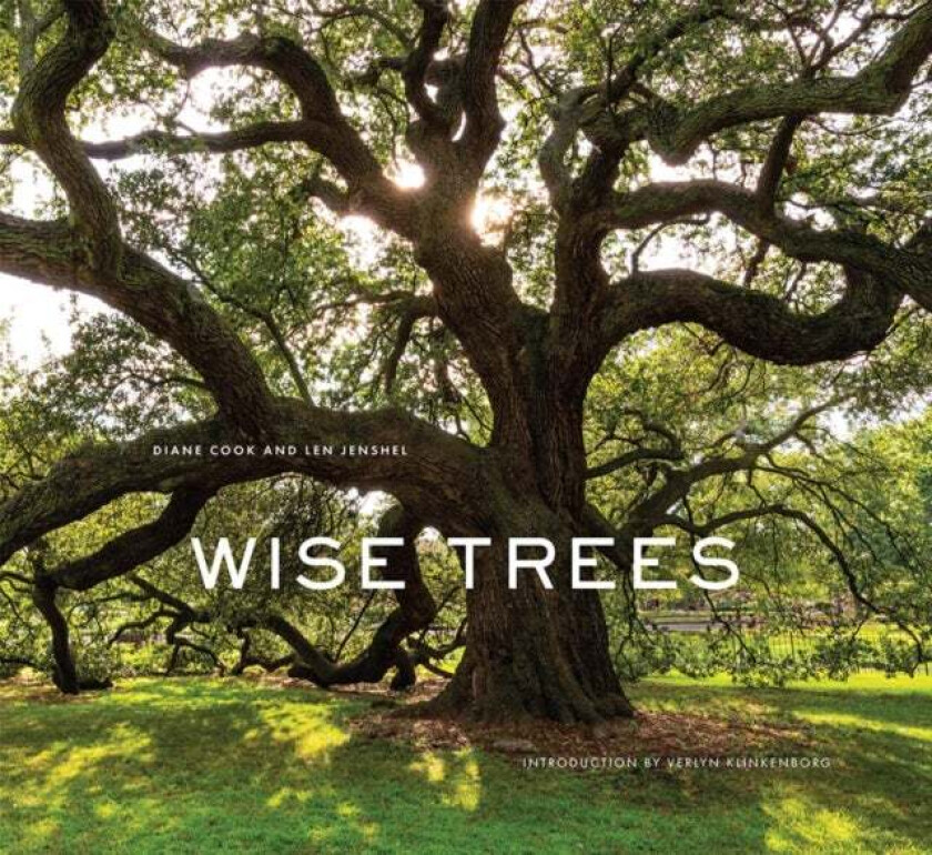 Wise Trees av Diane Cook, Len Jenshel