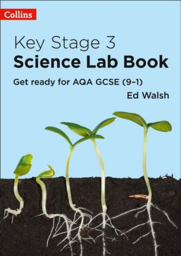 Key Stage 3 Science Lab Book av Ed Walsh