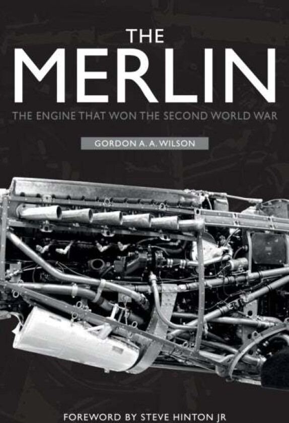 The Merlin av Gordon A. A. Wilson