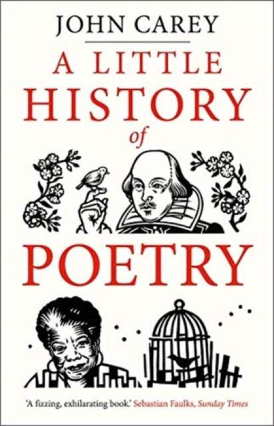 A Little History of Poetry av John Carey