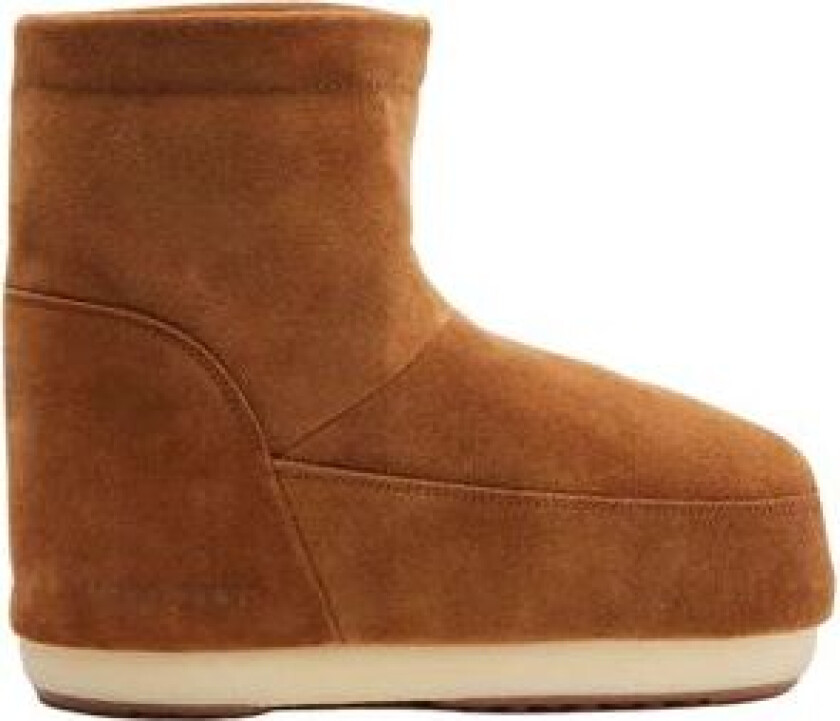 Icon Low Nolace Suede - Cognac 36/38