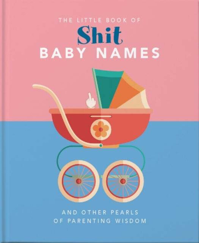 The Little Book of Shit Baby Names av Orange Hippo!