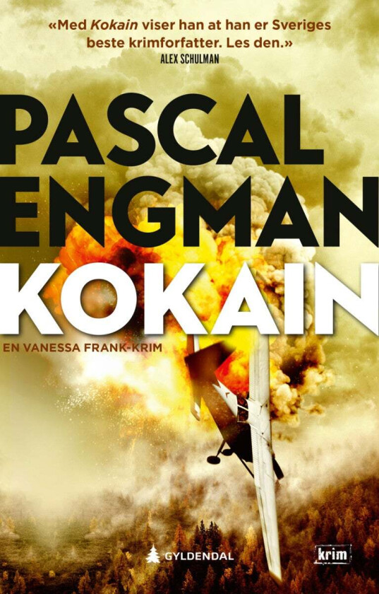 Kokain av Pascal Engman