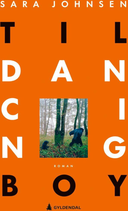 Til dancing boy av Sara Johnsen