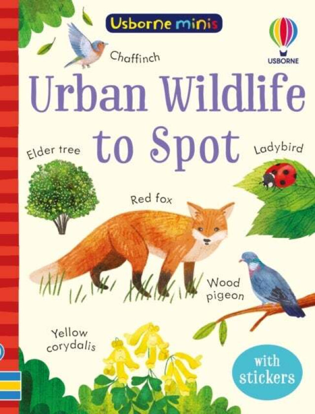 Urban Wildlife to Spot av Kate Nolan