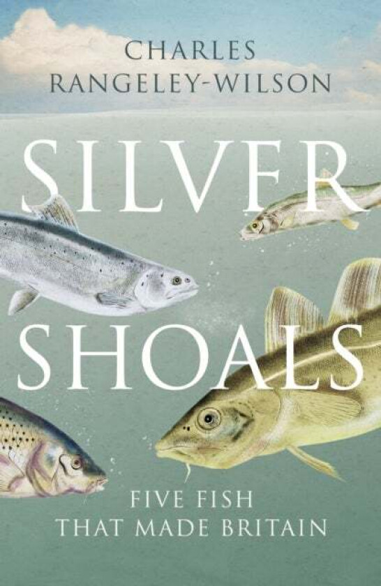 Silver Shoals av Charles Rangeley-Wilson