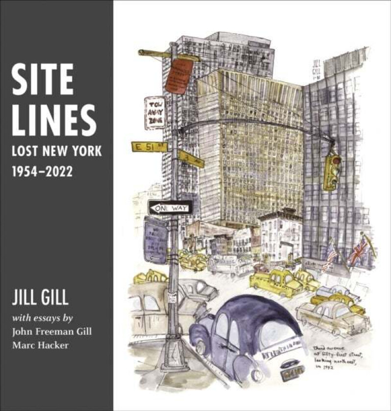 Site Lines av Jill Gill