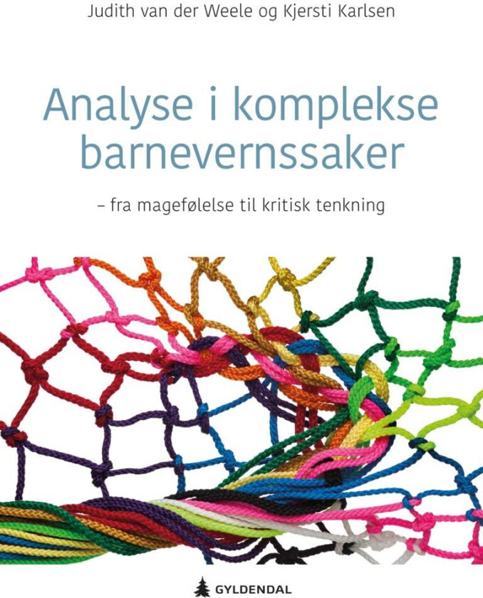 Analyse i komplekse barnevernssaker av Kjersti Karlsen, Judith van der Weele