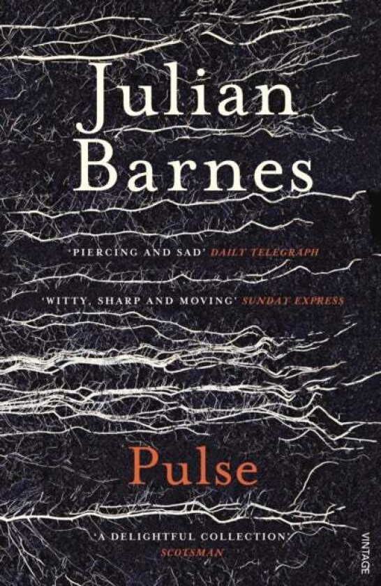 Pulse av Julian Barnes