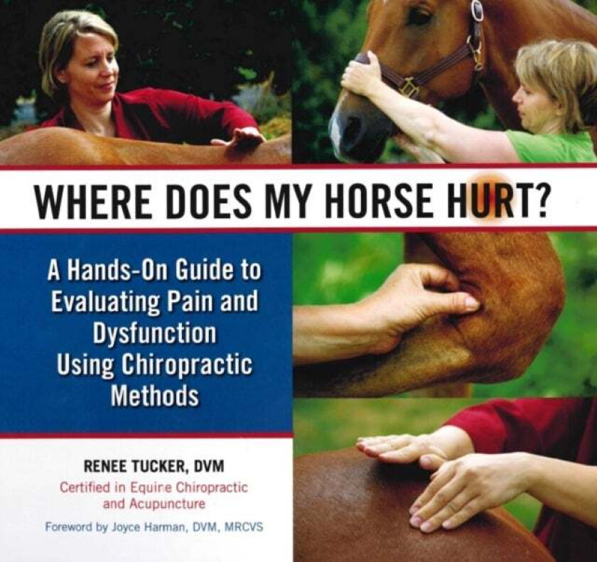 Where Does My Horse Hurt? av Renee Tucker