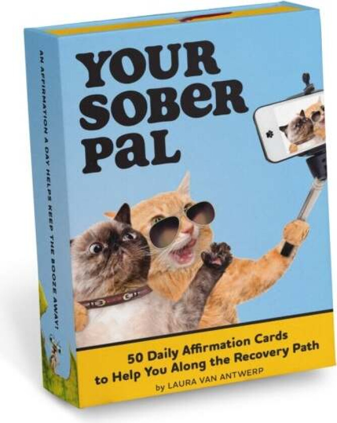 Your Sober Pal: 50 Affirmation Cards Deck To Help You Along The Recovery Path Av Laura¿van Antwerp