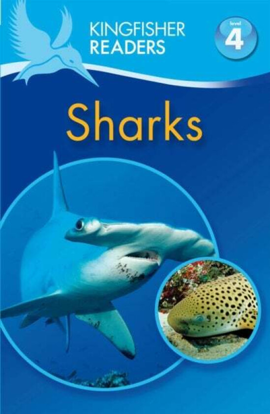 Kingfisher Readers: Sharks (Level 4: Reading Alone) av Anita Ganeri