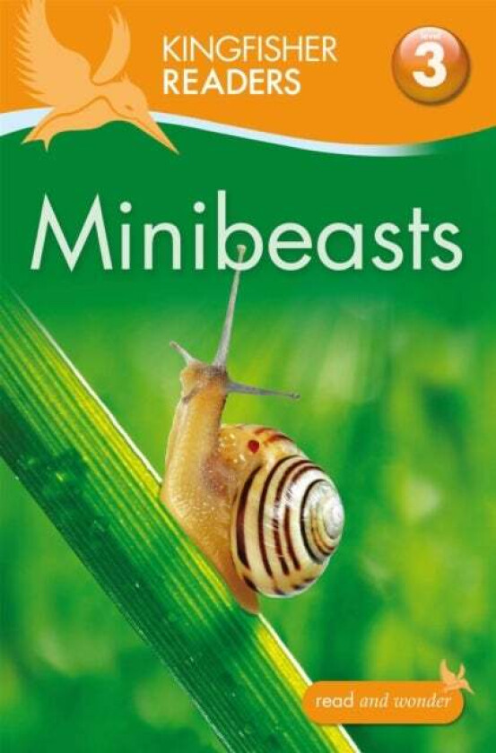 Kingfisher Readers: Minibeasts (Level 3: Reading Alone with Some Help) av Anita Ganeri, Thea Feldman