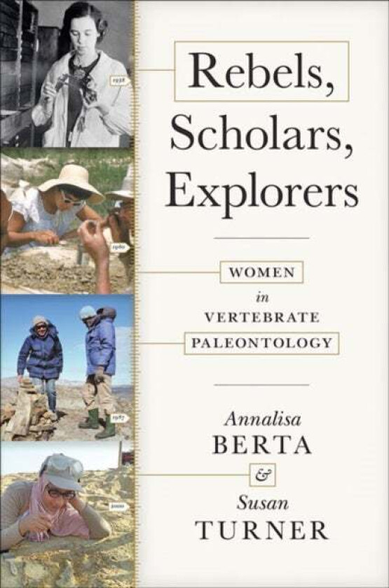 Rebels, Scholars, Explorers av Annalisa (Professor San Diego State University) Berta, Susan Turner