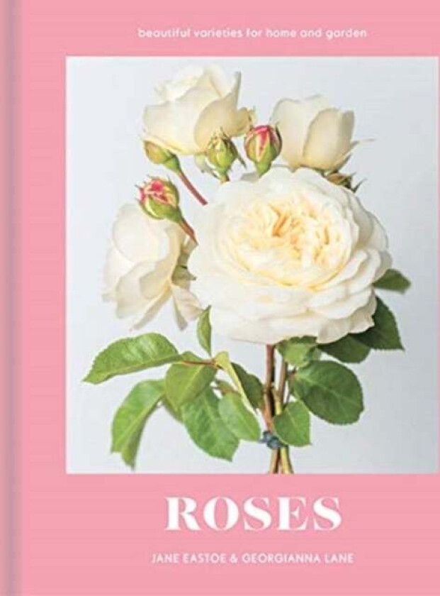 Roses av Jane Eastoe
