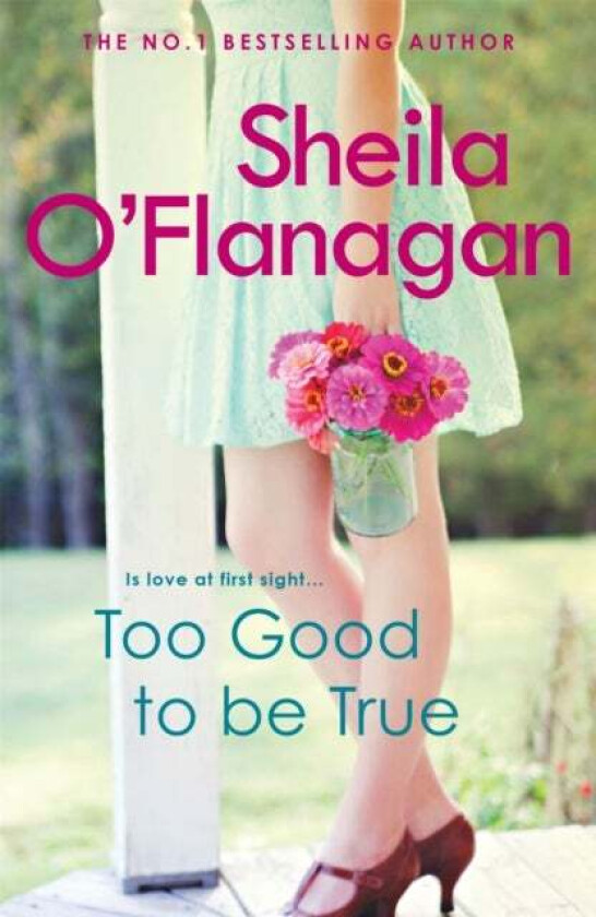 Too Good To Be True av Sheila O'Flanagan