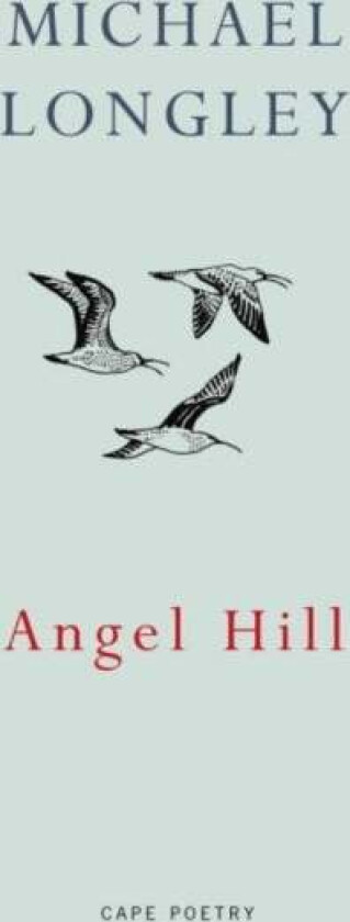 Angel Hill av Michael Longley