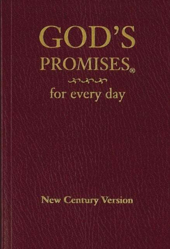 God's Promises for Every Day av Jack Countryman, A. Gill