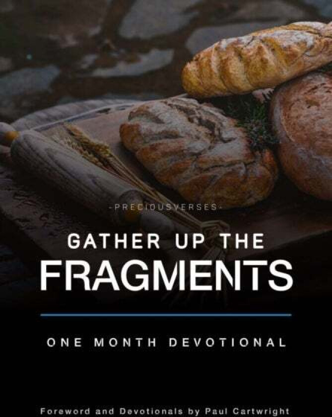 Gather Up the Fragments av Paul Cartwright