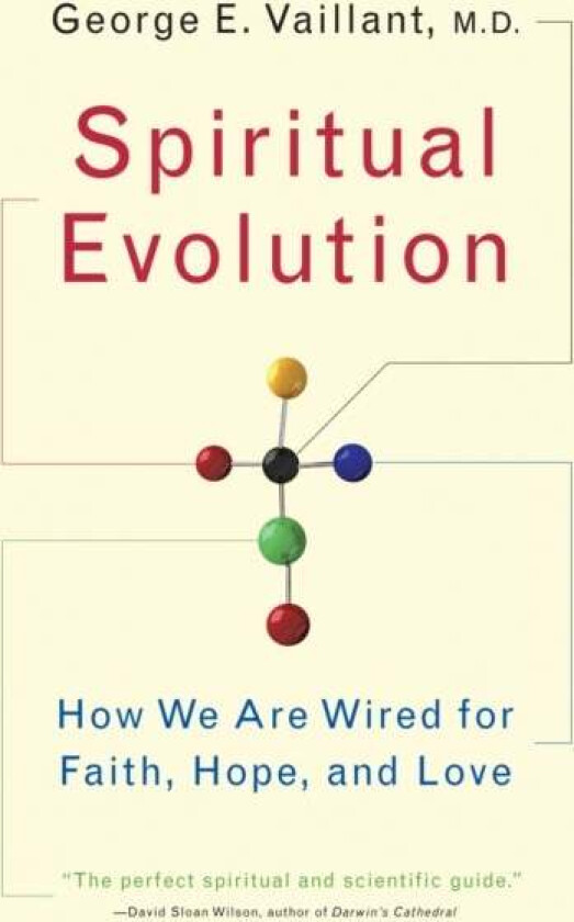 Spiritual Evolution av George Vaillant