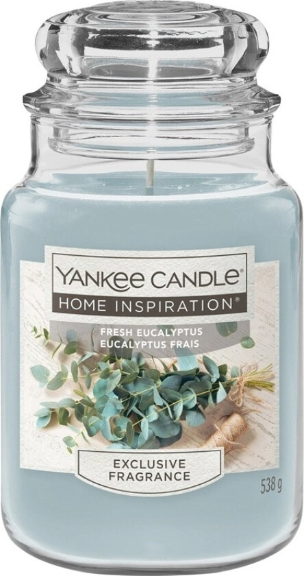 Home Inspiration Large Fresh Eucalyptus 538g