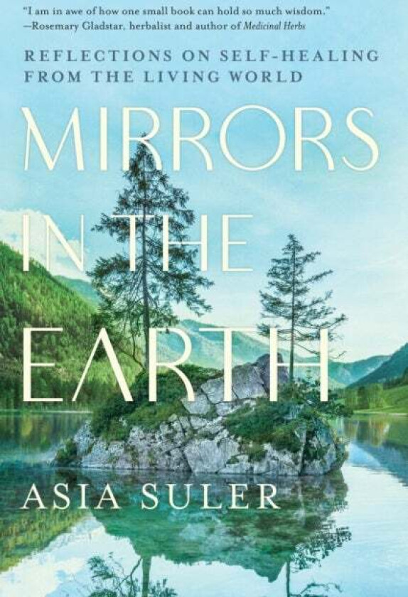 Mirrors in the Earth av Asia Suler