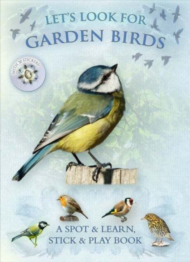 Let's Look for Garden Birds av Caz Buckingham, Andrea Pinnington