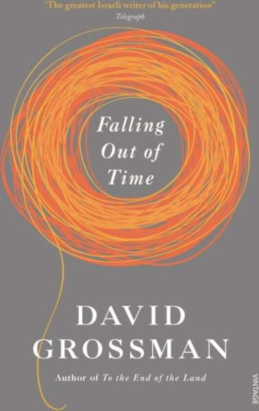 Falling Out of Time av David Grossman