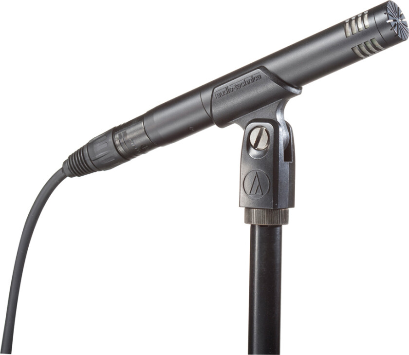 Audio Technica AT2031 Condenser Instrument Microphone