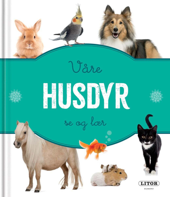 Bilde av Våre husdyr