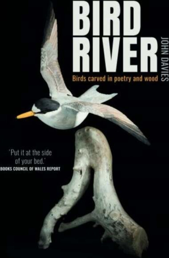 Bird River av John Davies