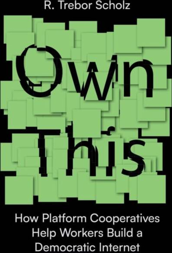 Own This! av R. Trebor Scholz