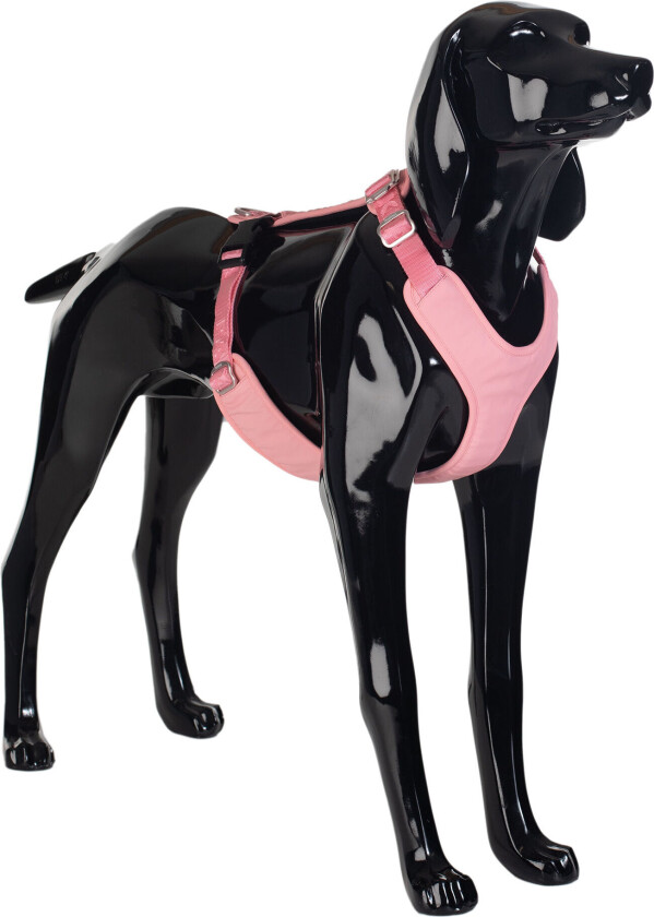 Visibility Harness Rosa | XL