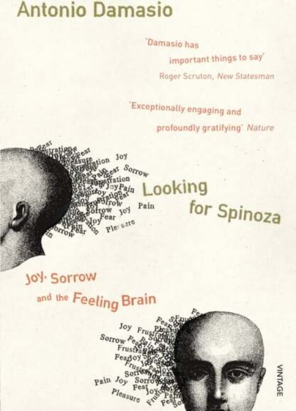 Looking For Spinoza av Antonio Damasio