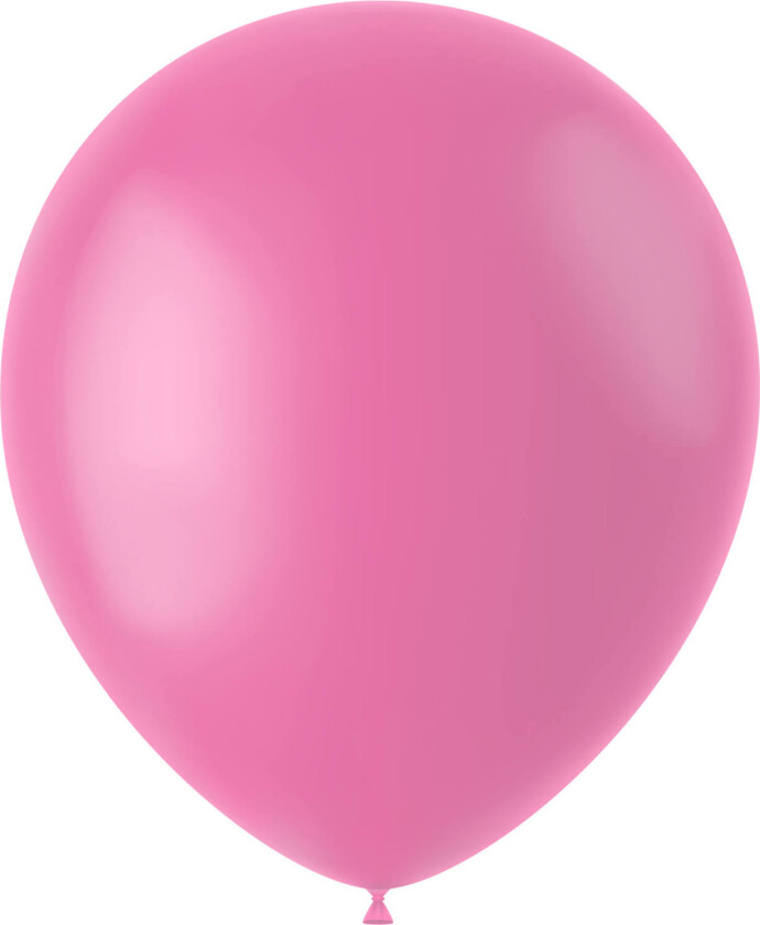 Ballonger 50 stk.