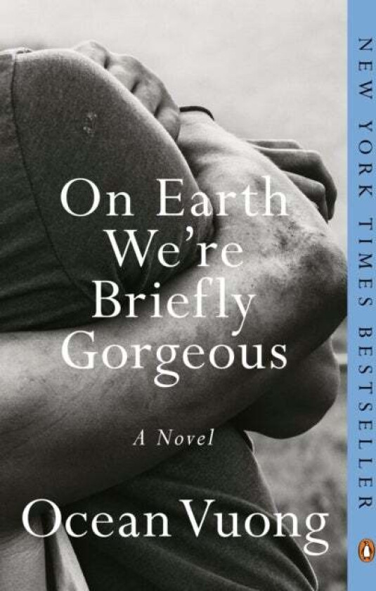 On Earth We're Briefly Gorgeous av Ocean Vuong