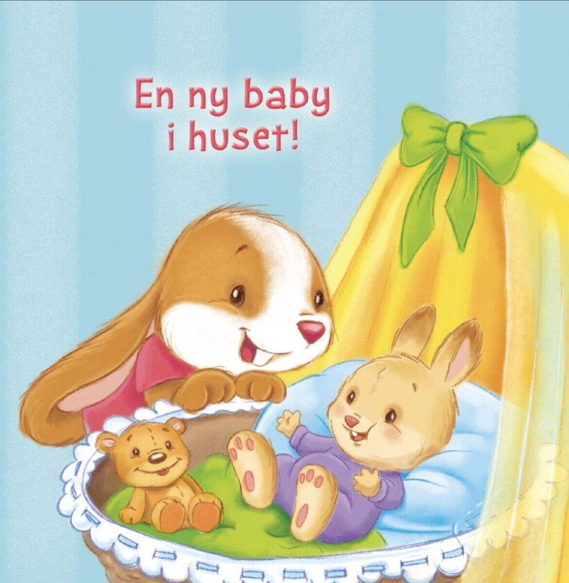 En ny baby i huset av Adrienne Heymans