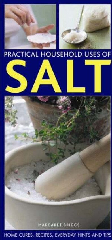 Practical Household Uses of Salt av Margaret Briggs