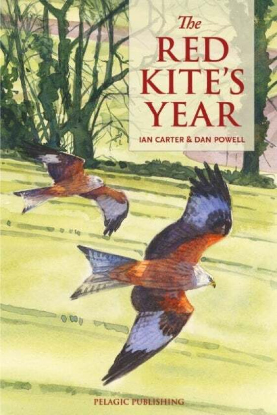 The Red Kite's Year av Ian Carter