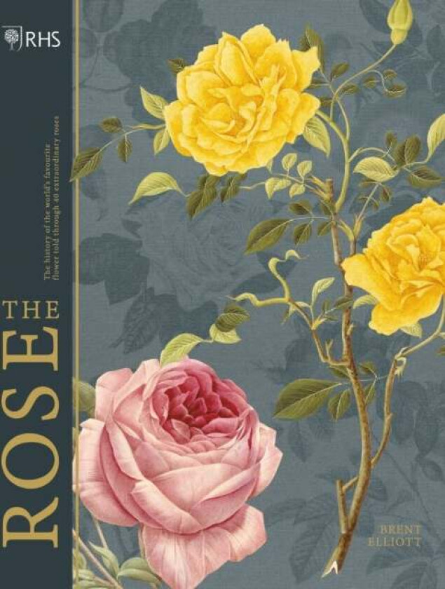RHS The Rose av Brent Elliott