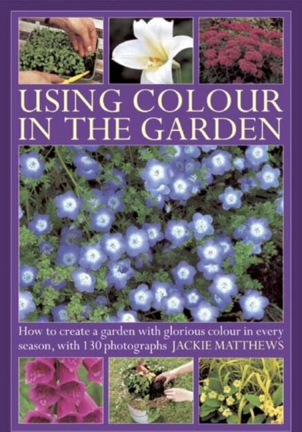 Using Colour in the Gardens av Jackie Matthews