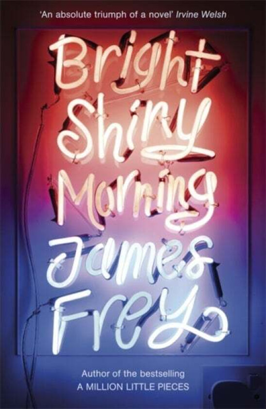 Bright Shiny Morning av James Frey